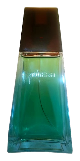 Modern Balance by Avon – Cologne