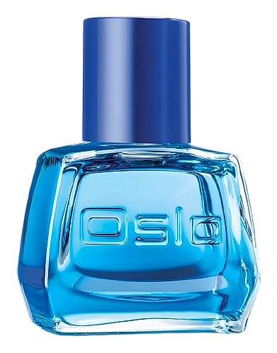 Oslo Instinct by Avon