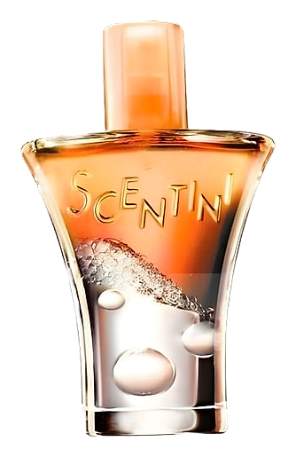 Scentini Citrus Chill by Avon