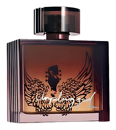 Unplugged For Him by Avon