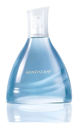 Windscape for Him by Avon