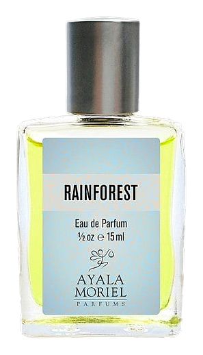 Rainforest by Ayala Moriel