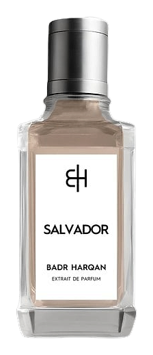 Salvador by Badr Harqan