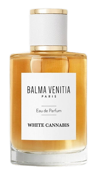 White Cannabis by Balma Venitia