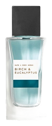 Birch & Eucalyptus by Bath & Body Works