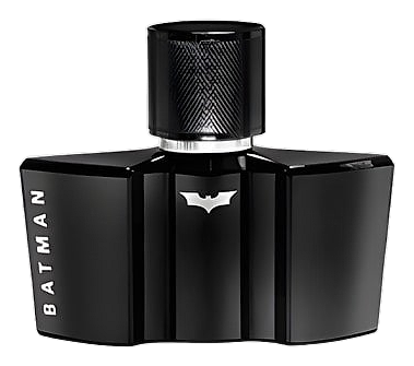 Batman The Dark Night Rises by Batman