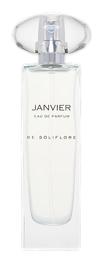 Janvier by Be Soliflore