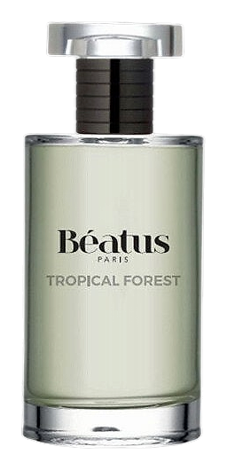 Tropical Forest by Beatus