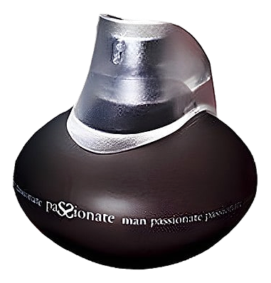Passionate Man by Bejar
