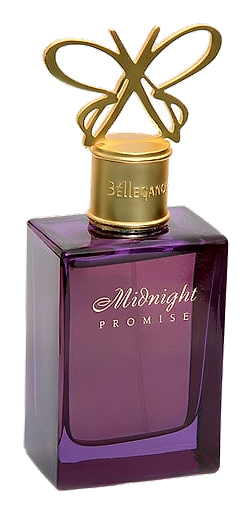 Midnight Promise
