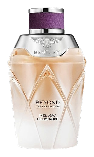 Mellow Heliotrope by Bentley