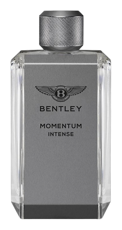 Momentum by Bentley