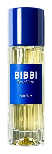 Boy Of June by Bibbi Paris