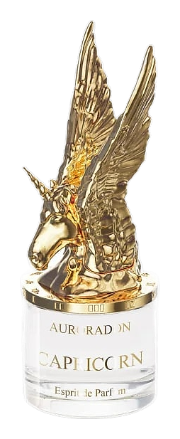 Capricorn (Козерог) by biblioteka aromatov – Eau de Parfum