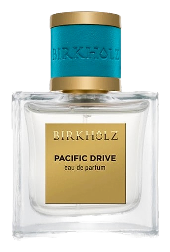 Pacific Drive by Birkholz