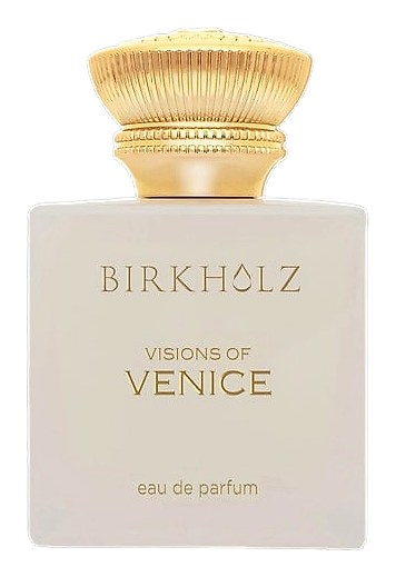 Visions Of Venice by Birkholz