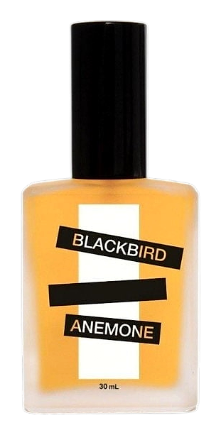 Anemone by Blackbird
