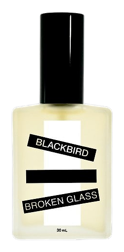 Broken Glass by Blackbird