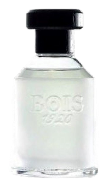 Ancora Amore by Bois 1920