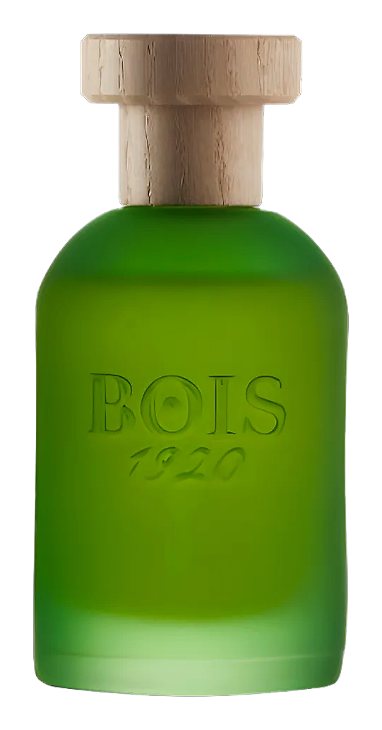 Cannabis by Bois 1920