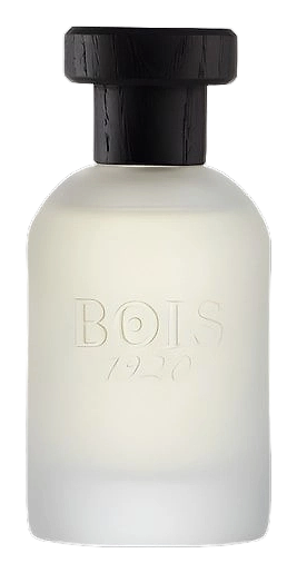 Classic 1920 by Bois 1920