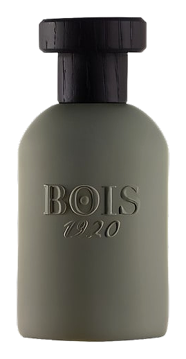 Itruk by Bois 1920