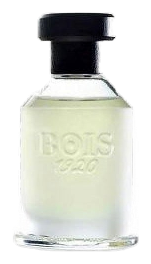 Magia by Bois 1920