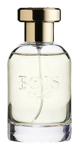 Parana by Bois 1920