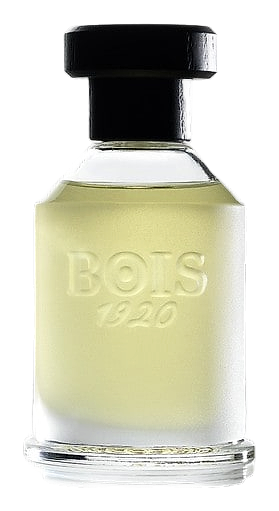 Rosa 23 by Bois 1920