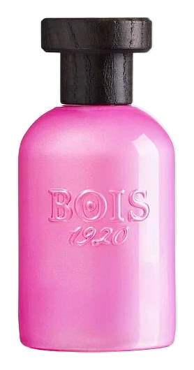 Rosa Di Filare by Bois 1920