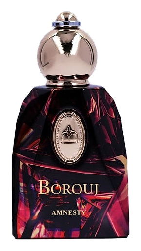 Amnesty by Borouj