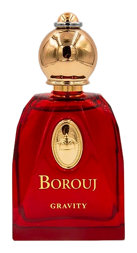 Gravity by Borouj