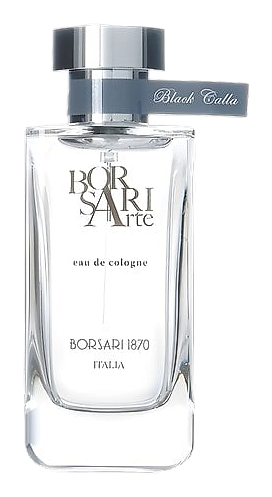 Black Calla by Borsari