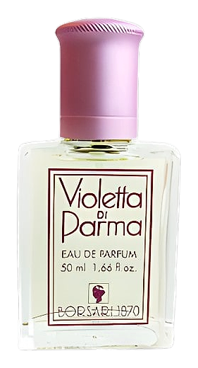 Violetta Di Parma by Borsari