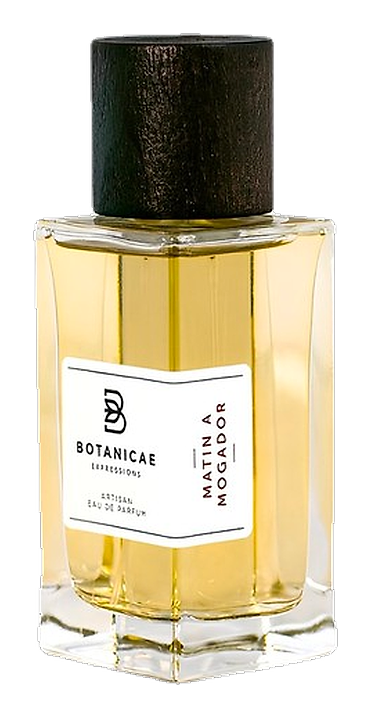 Matin A Mogador by Botanicae