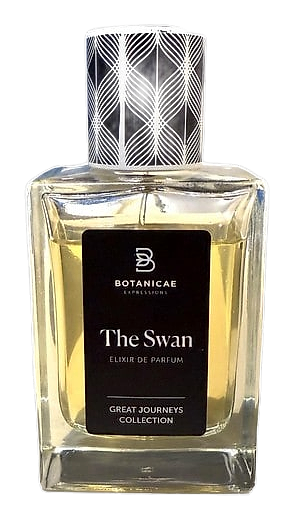 The Swan by Botanicae