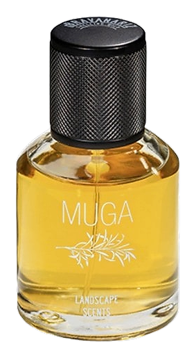 Muga