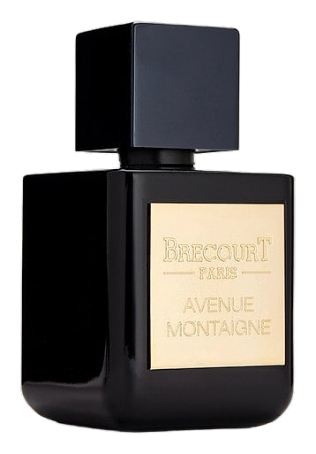 Avenue Montaigne by Brecourt