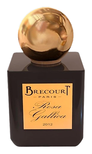 Rosa Gallica by Brecourt