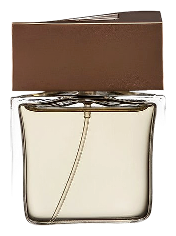 Brioni Man Eau de Parfum by Brioni