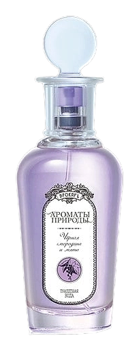 Черная Смородина И Мята Black Currant And Mint by Brocard