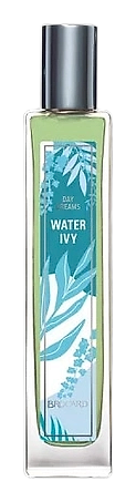 Water Ivy by Brocard
