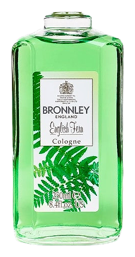 English Fern