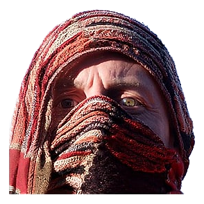 Assassin by Bud Parfums