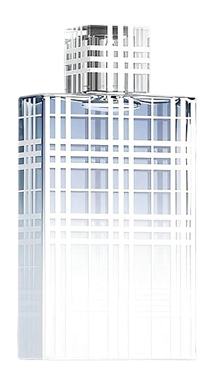 Burberry Brit Summer for Men by Burberry
