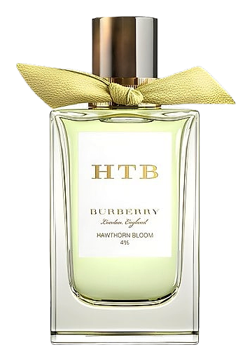 Hawthorn Bloom by Burberry