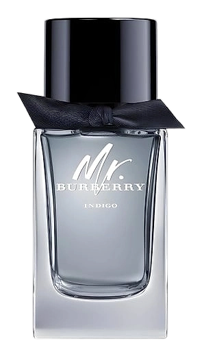 Mr. Burberry Indigo by Burberry