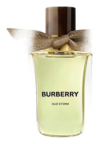 Oud Storm by Burberry