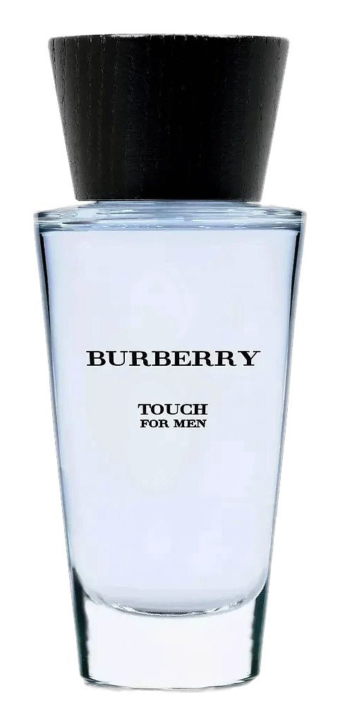 Touch for Men by Burberry