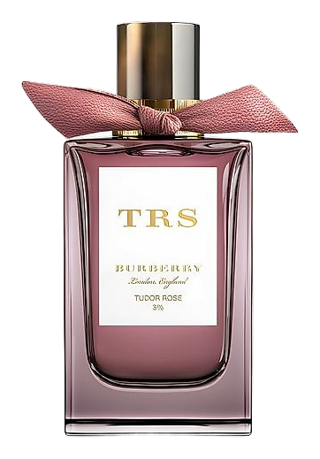 Tudor Rose by Burberry